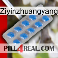 Ziyinzhuangyang 22
